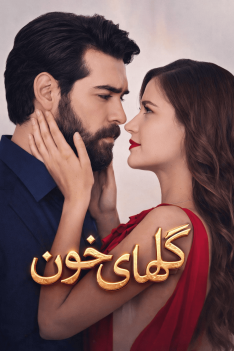 golhaye-khoon-newp-1