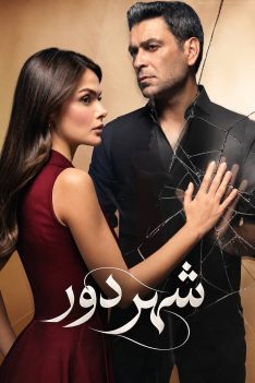 shahre-door